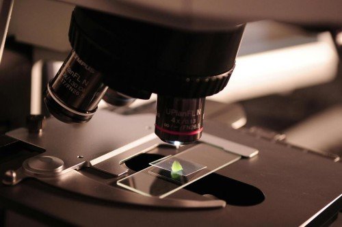 (Italian Article) Come la ricerca condivisa combatte le più grandi sfide sanitarie del mondo