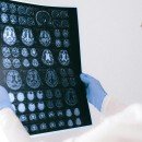 (French Article) L’intelligence artificielle au laboratoire