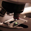 (Italian Article) Come la ricerca condivisa combatte le più grandi sfide sanitarie del mondo