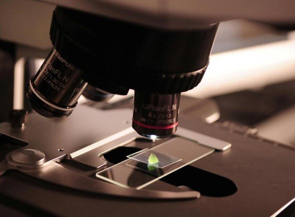 (Italian Article) Come la ricerca condivisa combatte le più grandi sfide sanitarie del mondo